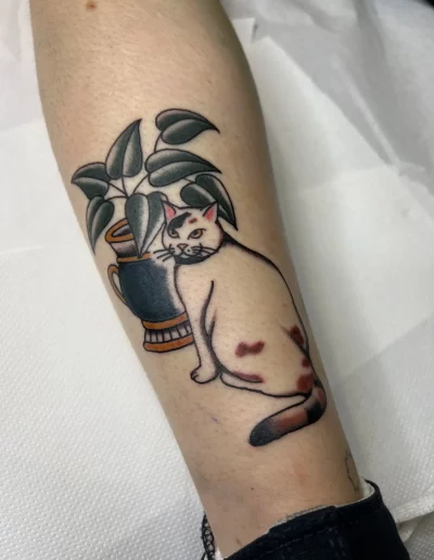 gato alado de una maceta