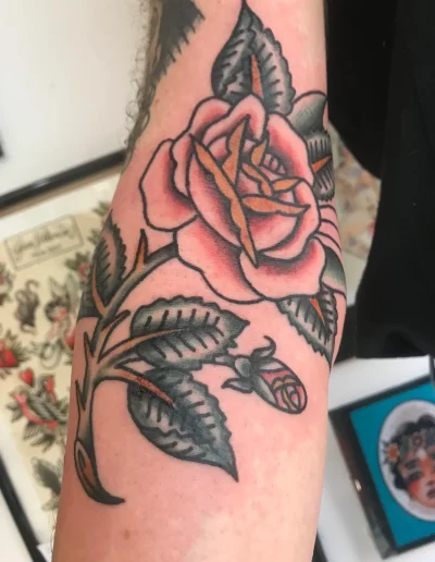 rosa