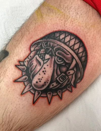 cabeza de perro con casco